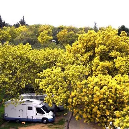 Camping Manjastre ***
